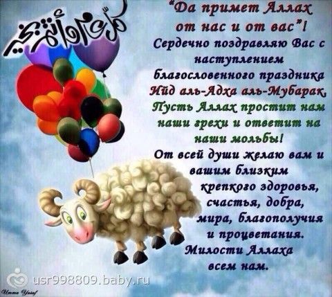 Поздравление с днем физкультурника в открытках Поздравление с днем физкультурника в открытках