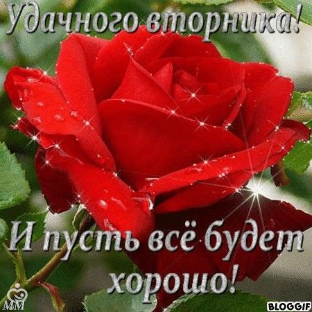 Открытка со вторником Открытка со вторником