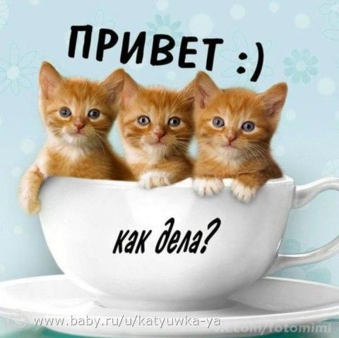 39 неделек) Привеееет)
