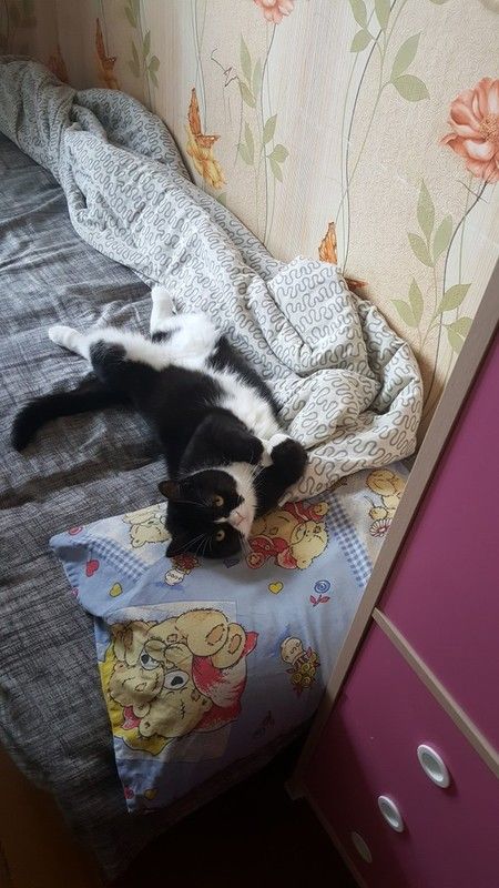 на что еще проверить?