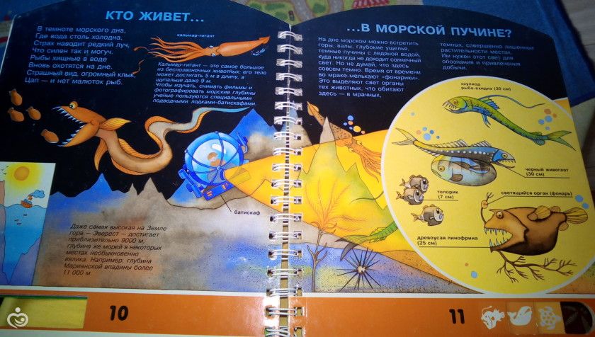 Марафон &amp;quot;Мировой океан&amp;quot;,задание №6 &amp;quot;Тихий океан&amp;quot;