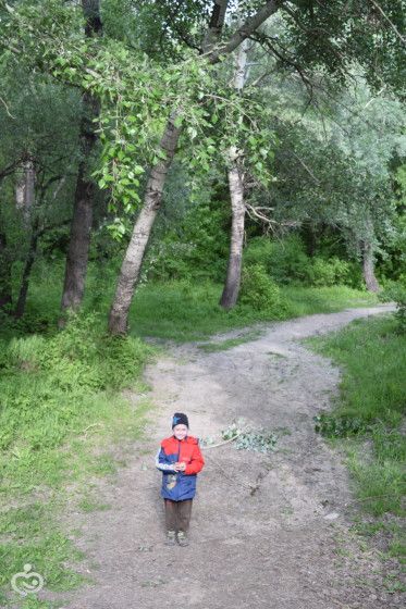 19.05.2017