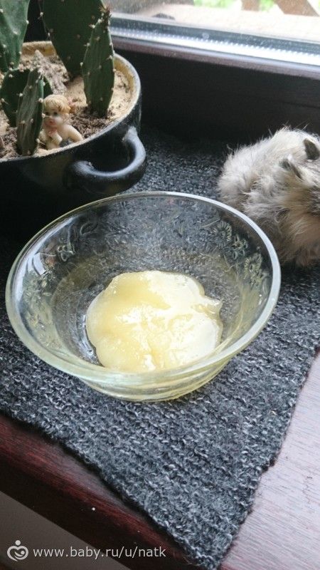 Мед. Зеленый чай с лимоном и медем