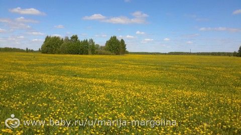 Окончание начальной школы на СО.и другие новости