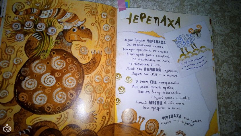 Марафон &amp;quot;Мировой океан&amp;quot;,задание №6 &amp;quot;Тихий океан&amp;quot;