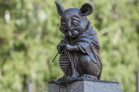 Фотопост на тему "Куда сходить с ребенком в Новосибирске" - часть 3