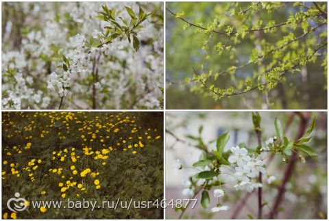 Фотосессия в цветущих садах, СПБ