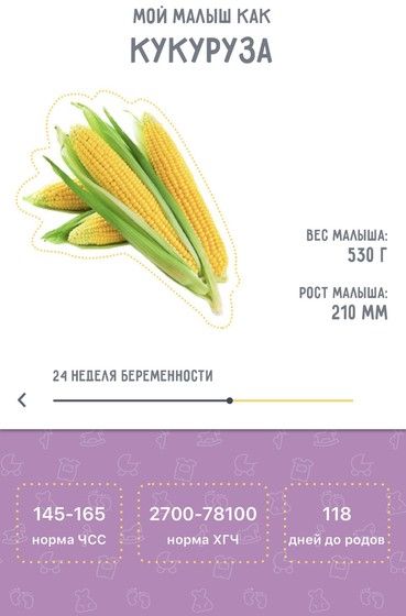 Перешли на 24 неделю .....