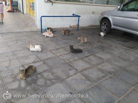 Кипр-2017. Отдых с детьми. Часть 3.