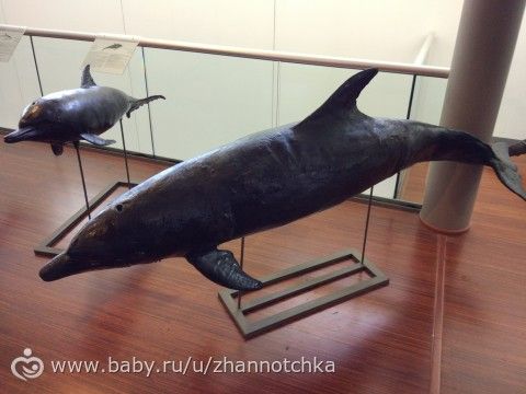 Кипр-2017. Отдых с детьми. Часть 3.