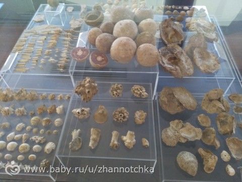 Кипр-2017. Отдых с детьми. Часть 3.